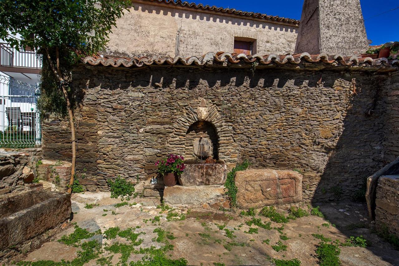 Apartamentos Rurales Cielo De Monfraguee 马尔帕蒂达德普拉森 外观 照片